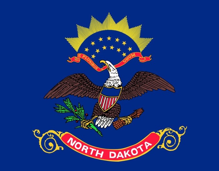 Bandera Dakota.jpg